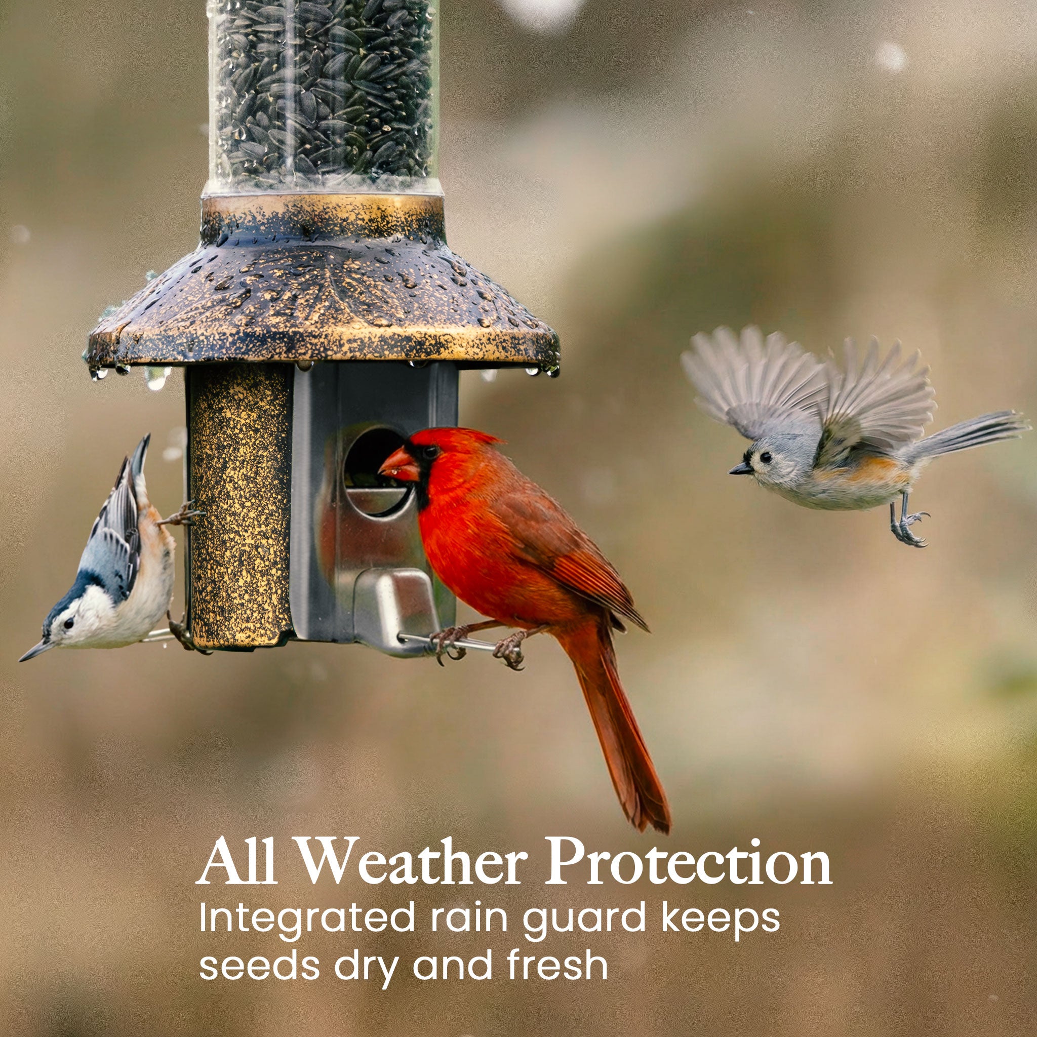 Roamwild PestOff Squirrel Proof Bird Feeder 2.0