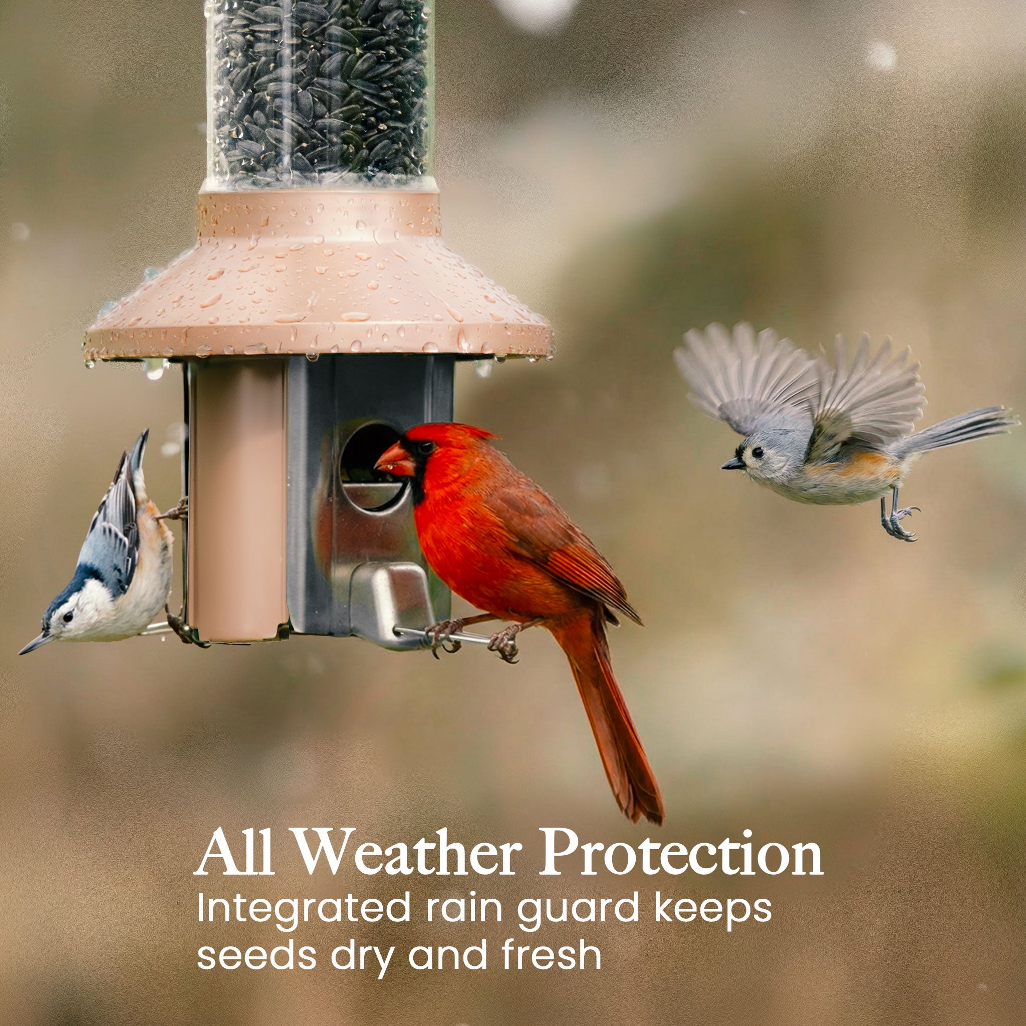 Roamwild PestOff Squirrel Proof Bird Feeder 2.0