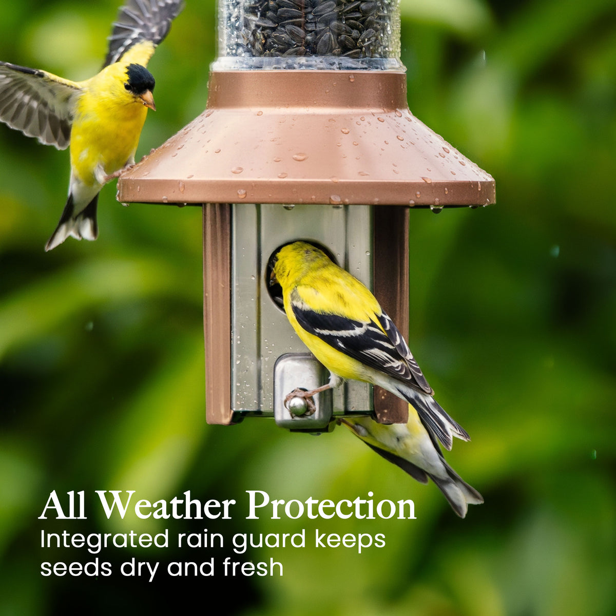 Roamwild PestOff Squirrel Proof Bird Feeder 2.0 (image 27)
