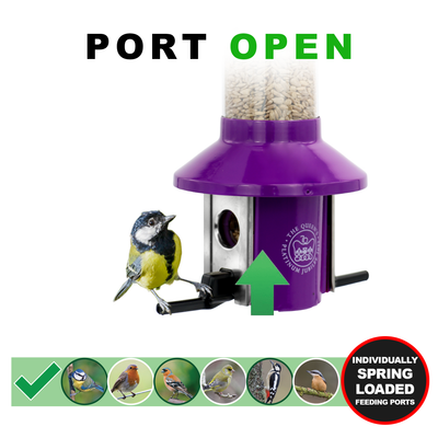 Roamwild PestOff Squirrel Proof Bird Feeder | Platinum Jubilee