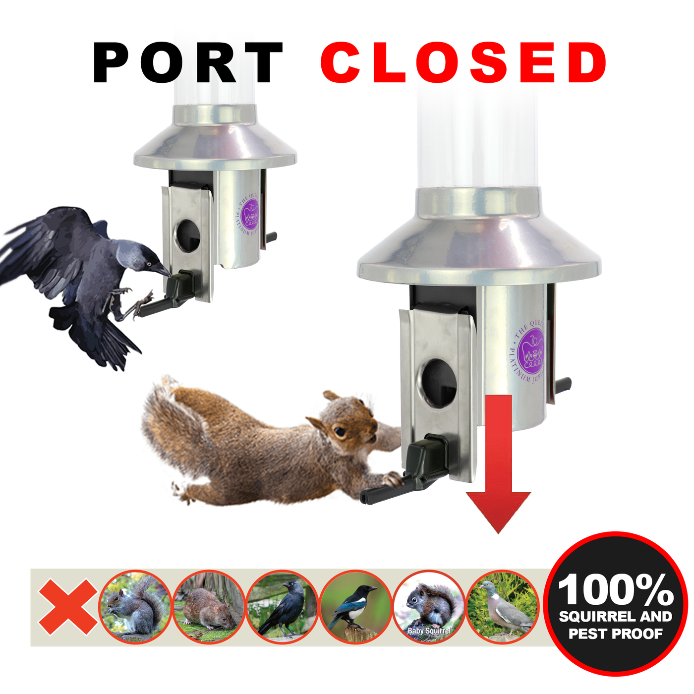 Roamwild PestOff Squirrel Proof Bird Feeder | Platinum Jubilee
