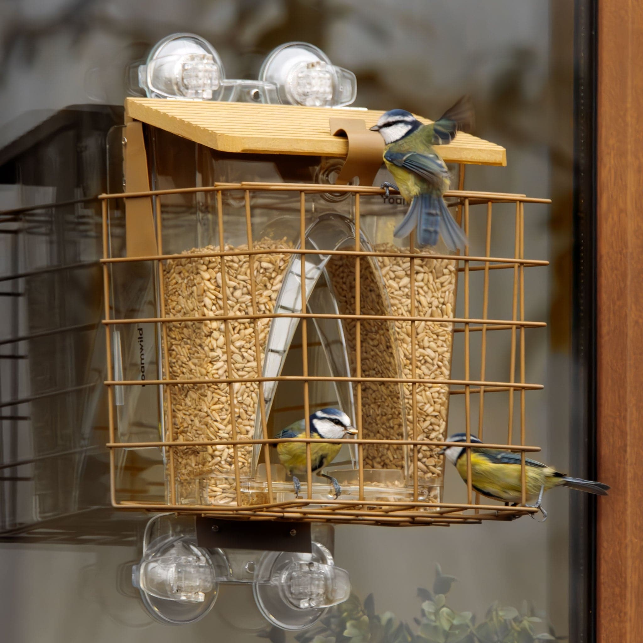 Roamwild Arch Window Feeder: Squirrel Proof Cage Accessory