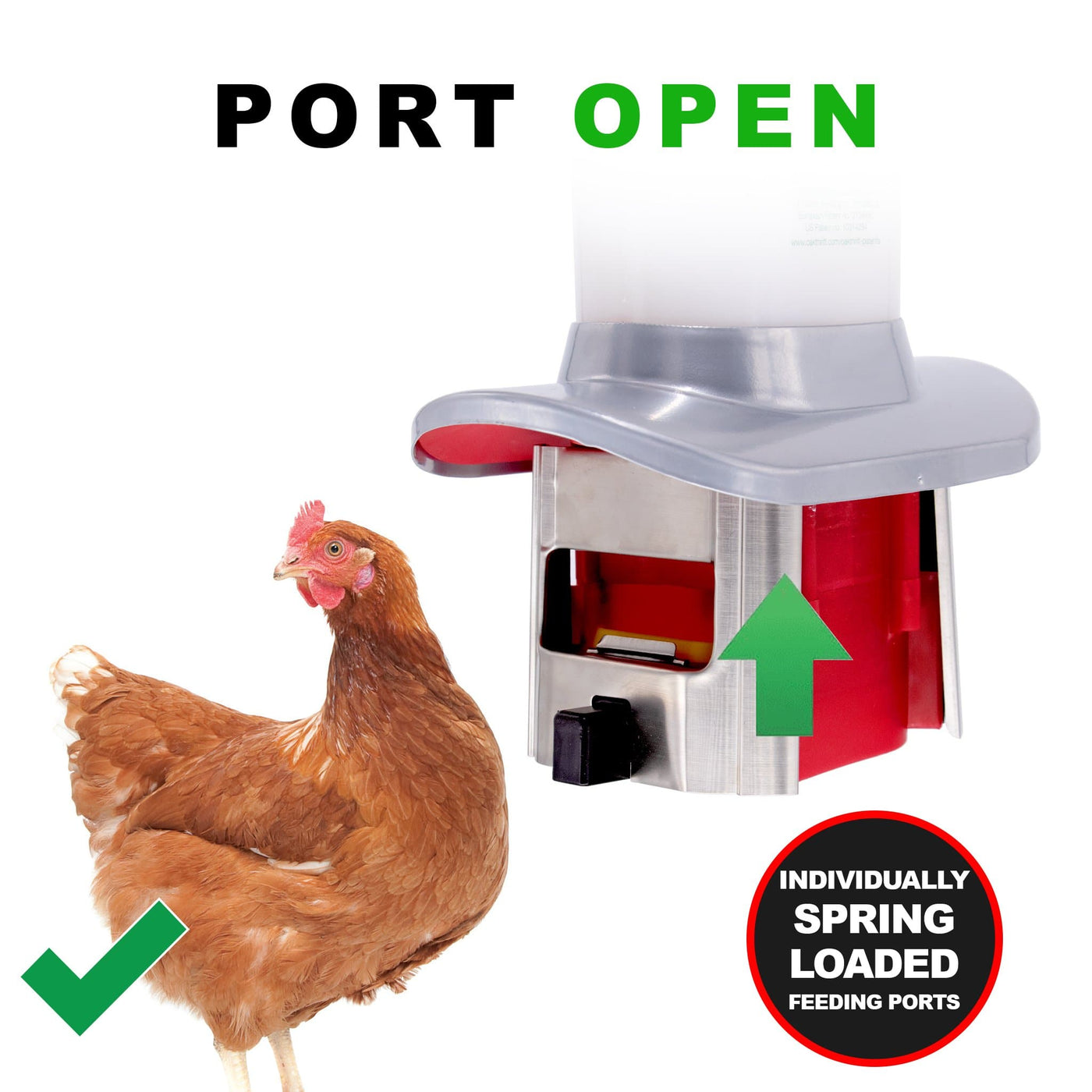 Roamwild PestOff Rat Proof Chicken Feeder - Roamwild