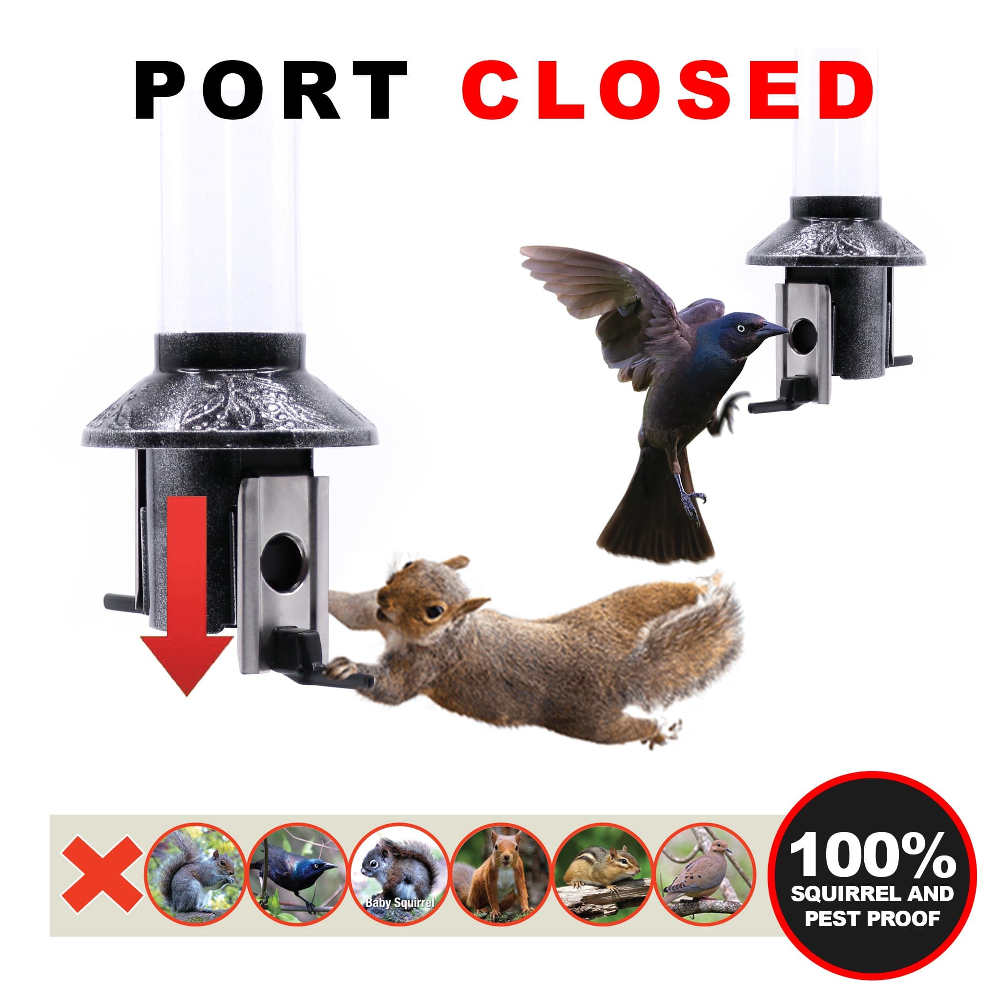 Roamwild PestOff Squirrel Proof Bird Feeder | Exclusive Platinum - Roamwild