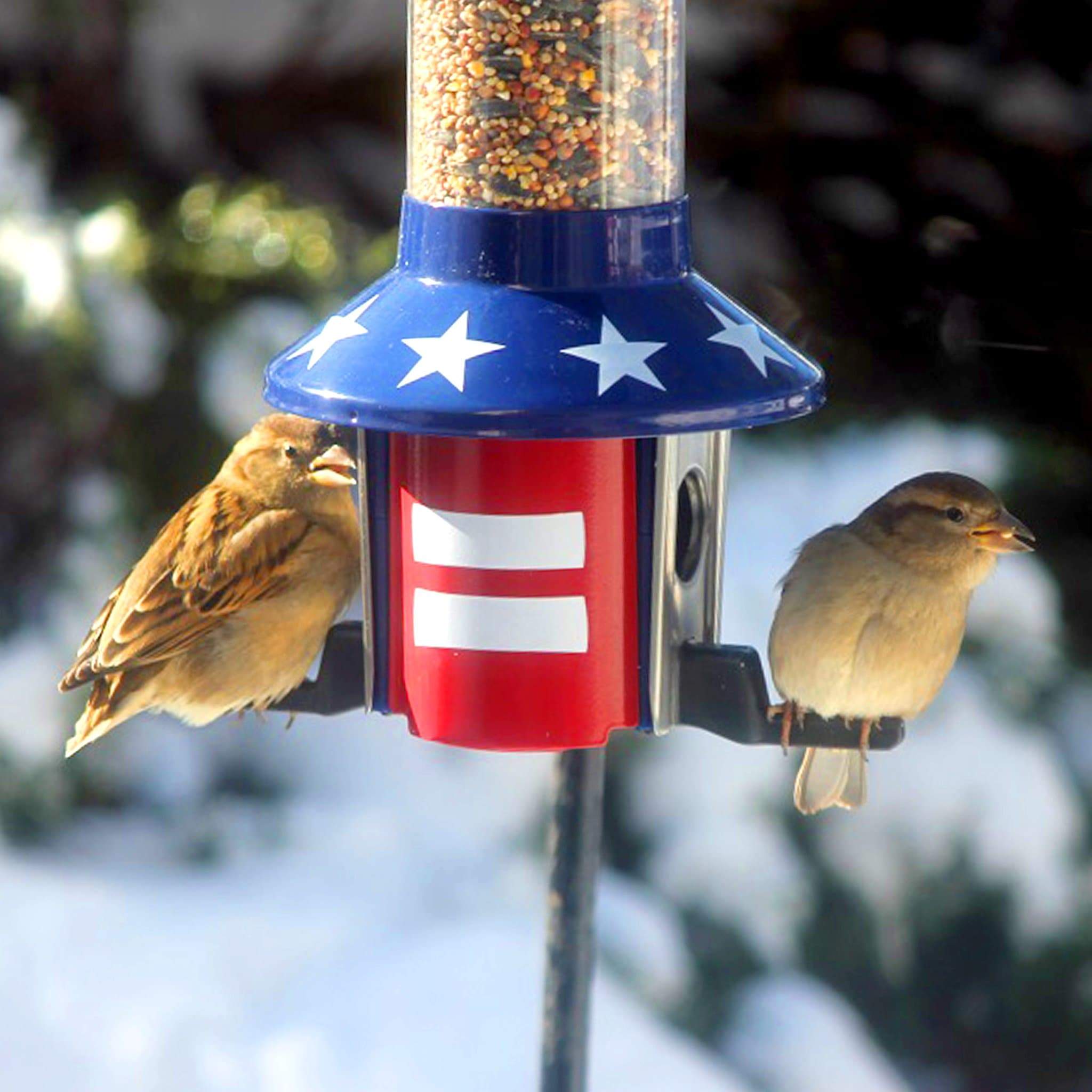 Roamwild PestOff Squirrel Proof Bird Feeder US Flag Design - Roamwild